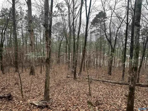 Waterfront Land in Rainbow City