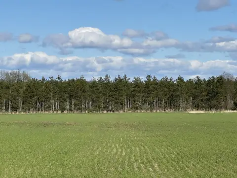 30 Acres Vacant Land