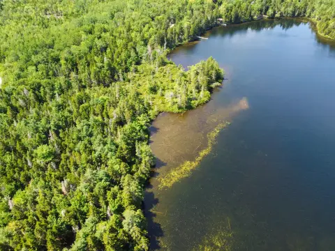 Waterfront Land with Lake Frontage
