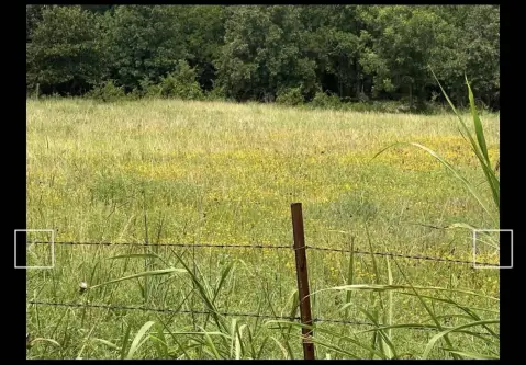 80 Acres Vacant Land