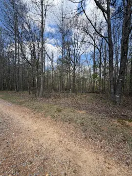 Grenada County Vacant Land