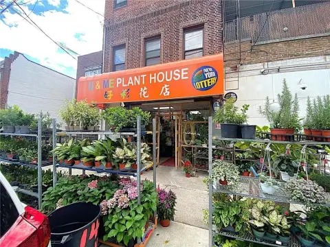 Established Garden Center