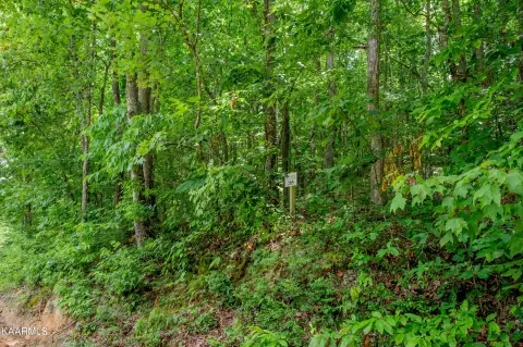 Loudon, TN 5-Acre Land