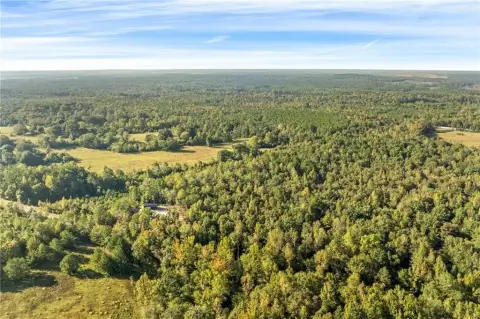 Wooded Hunting Land