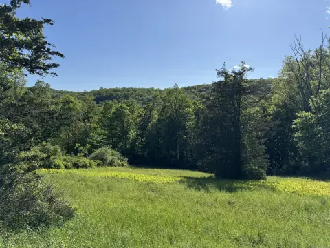 Expansive Land Parcel with Views