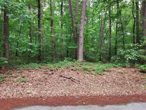 Residential Land in Hot Springs