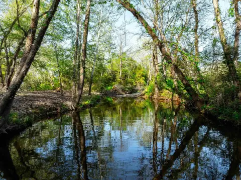 40 Acres with Creek Frontage