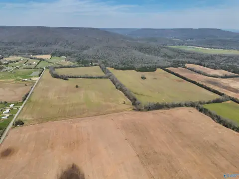 Scottsboro Farmland with Recreational Appeal