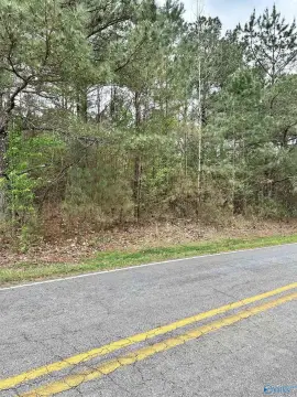 Residential Lot in Lester, AL