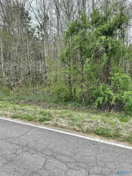 Residential Lot in Lester, AL