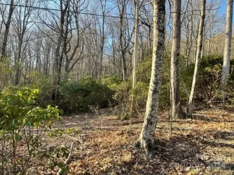 Hendersonville Land For Sale