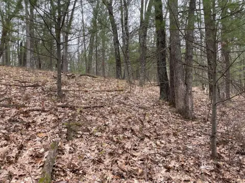 Recreational Land Near Manistee River