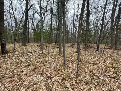 Wooded Recreational Land Parcel