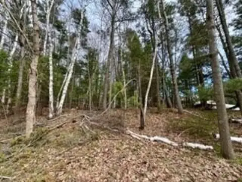 Land Near Lake Michigan