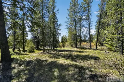 Creekfront Wooded Recreation Land