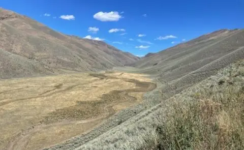 Bellevue Land Opportunity