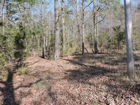 Land in Ouachita Mountains