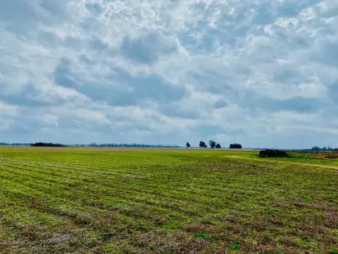 Hoxie, AR Farmland For Sale