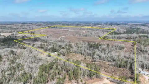 210 Acres Hunting and Timber