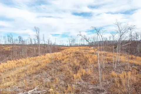 Land with Waterfall in Jamestown