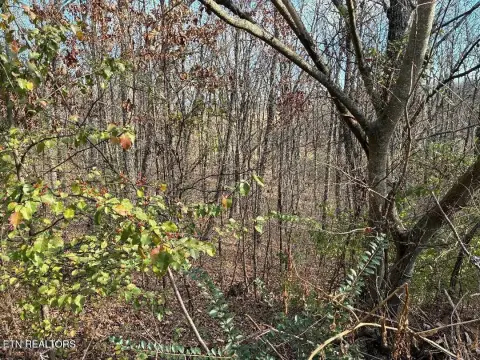 Residential Land in Sweetwater, TN