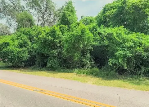 Buildable Residential Homesite Lot