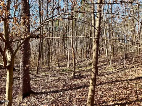 Wake County Wooded Land