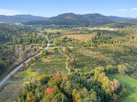 Recreational Land with Brook Access