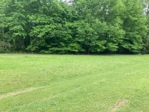 Open, Level Land