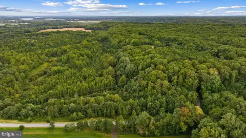 Wooded Commercial Land