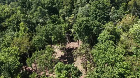 Hunting Land with Creek