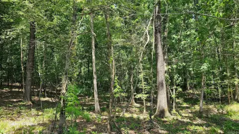 Stephens, AR Land For Sale