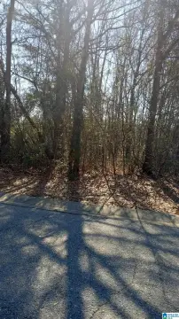 Residential Lot in Brighton, AL