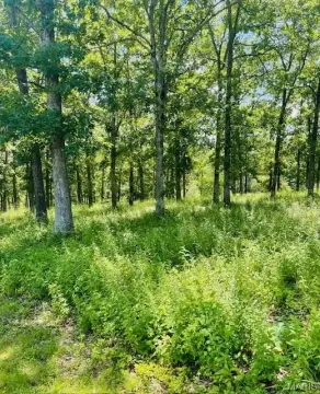 Highway Commercial Land Parcel