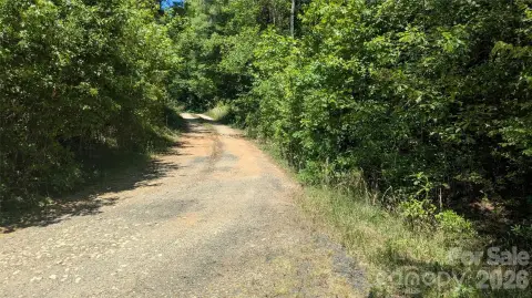 Wooded Lot Ready For Home