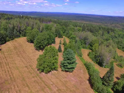 Managed Agricultural Land with Orchard