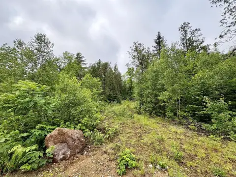 Surveyed Recreational Land Lot