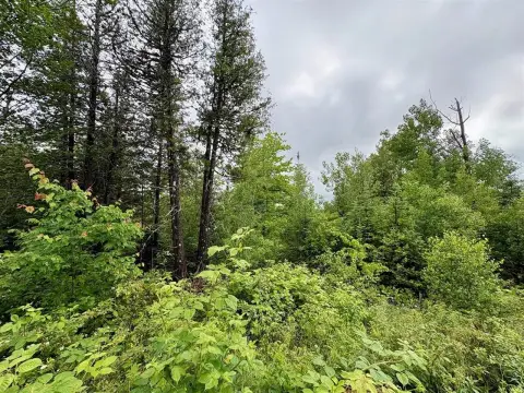 Surveyed & Soil-Tested Recreation Lot