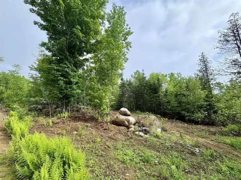 Surveyed Mountain Cabin Lot