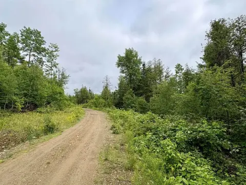 Surveyed Recreational Land Lot