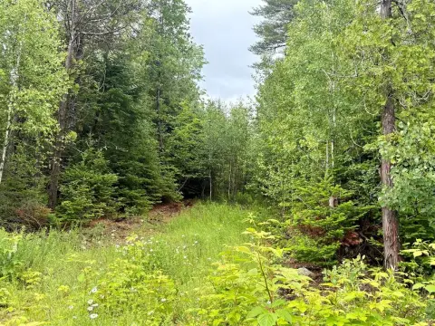 Septic-Approved Subdivision Lot