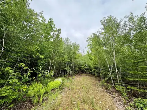 Surveyed Subdivision Lot