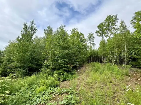 Surveyed Land Lot with Septic Approval