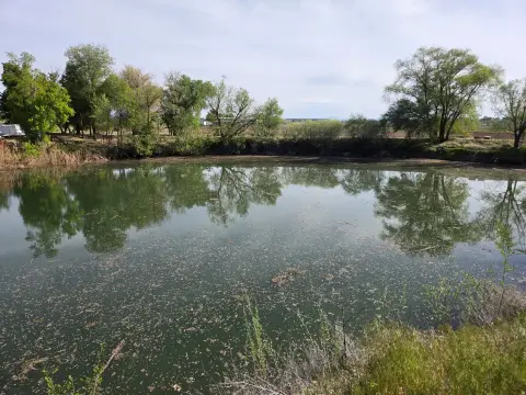 River-Through Agricultural Land