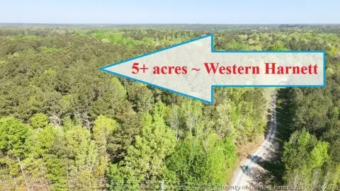 Wooded Homesite with Access Easement