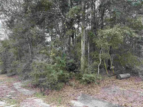 Pace, FL Land For Sale