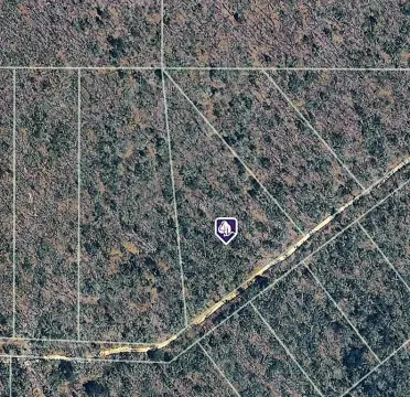Heavily Treed Lot Near Lake