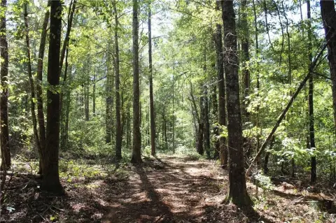 Hunting Land with Timber