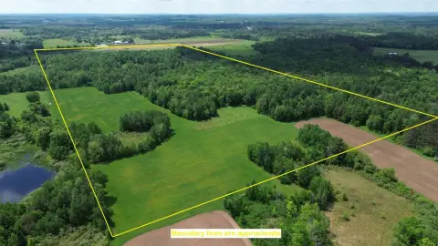 Wooded Hunting Land