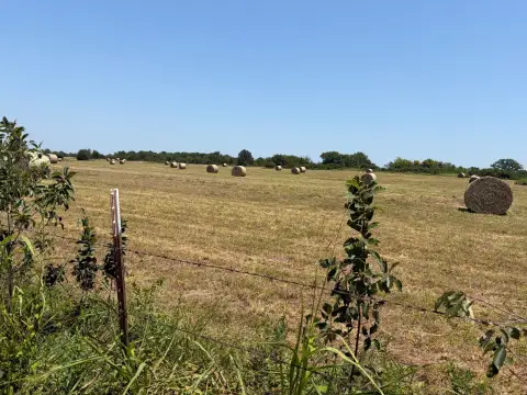 Fenced Agricultural Land with Pond